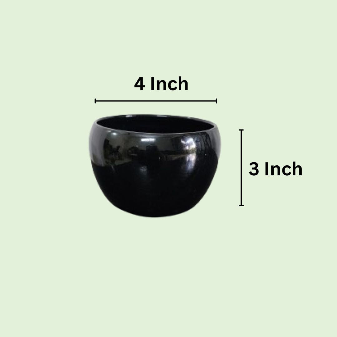 Nutripot Metal Pot 4 Inch