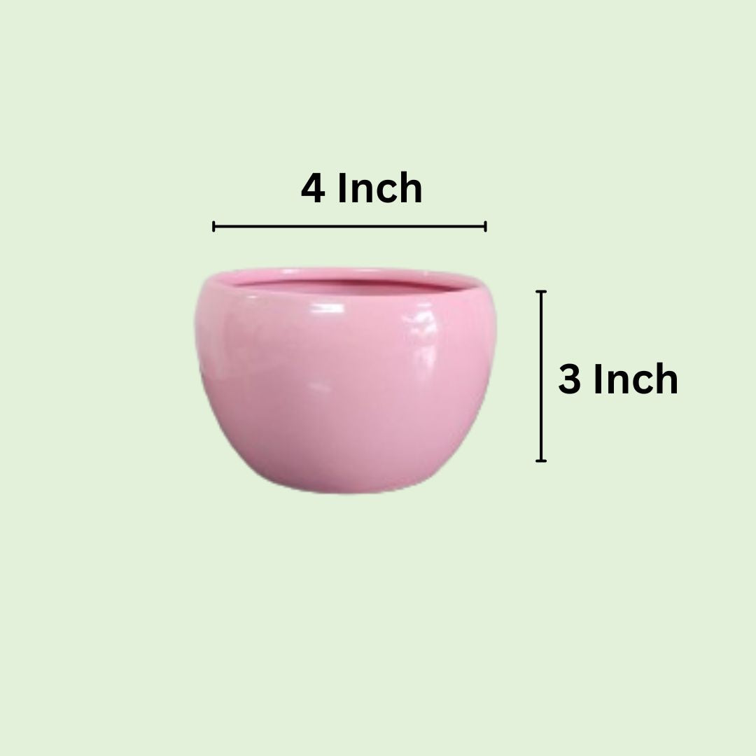 Nutripot Metal Pot 4 Inch