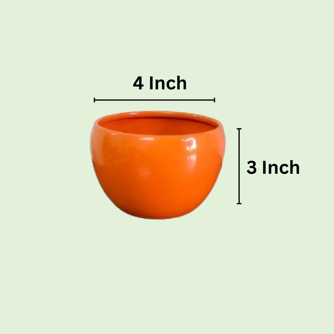 Nutripot Metal Pot 4 Inch