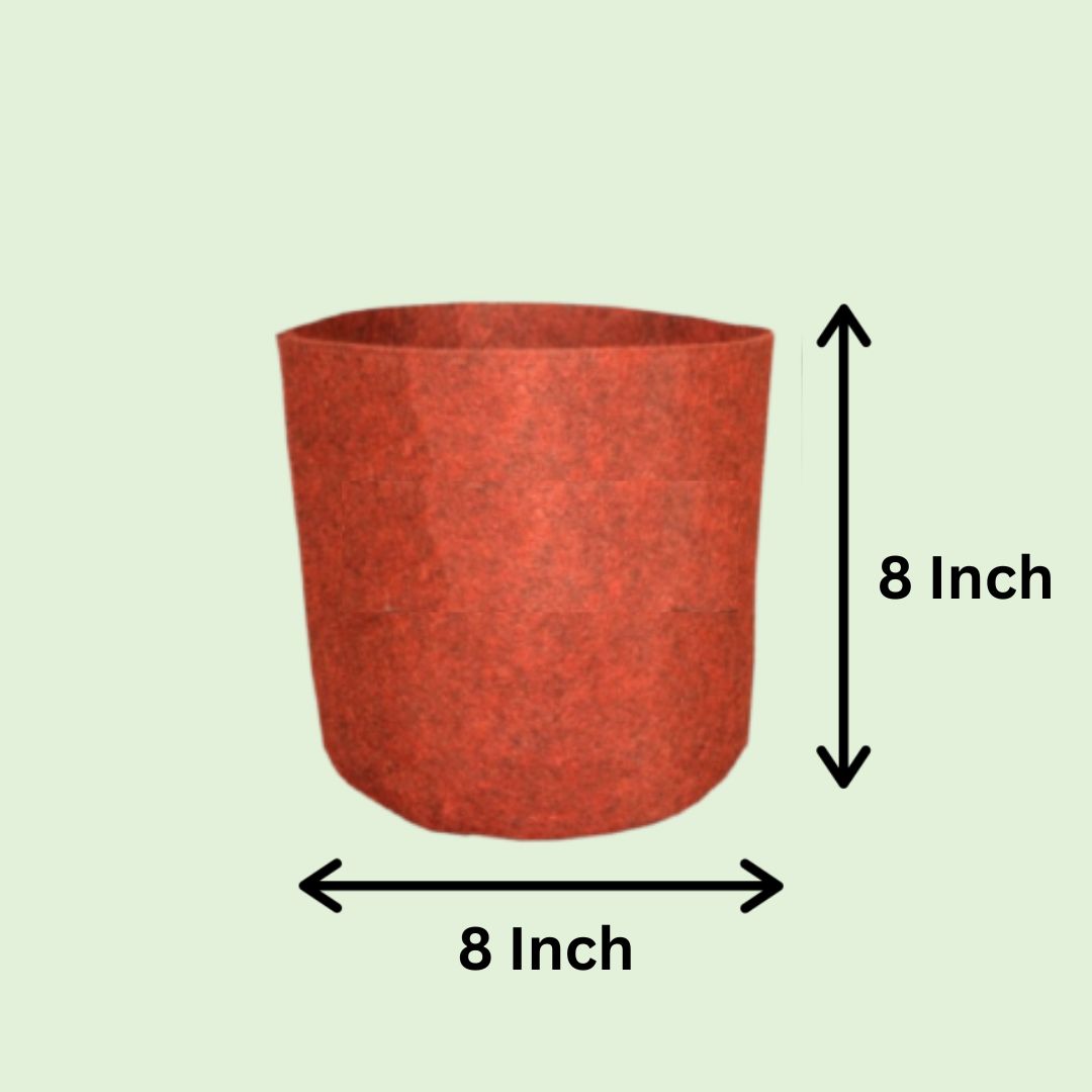 Nutripot Garden GrowBag 8'X8'- 1Piece, Geofabric 400 GSM , Maroon & Green