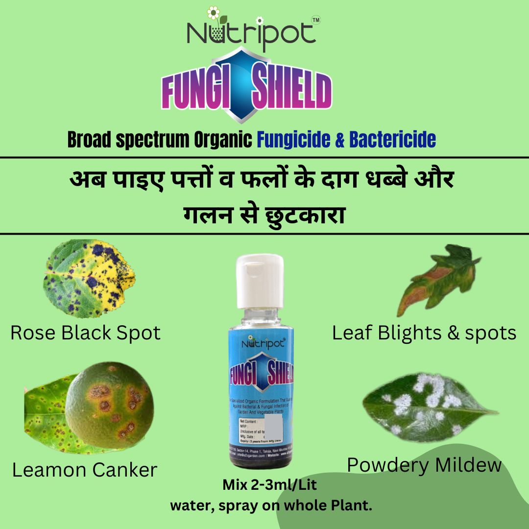 Nutripot RapiGreen 50 ml + Fungi Shield 50 ml