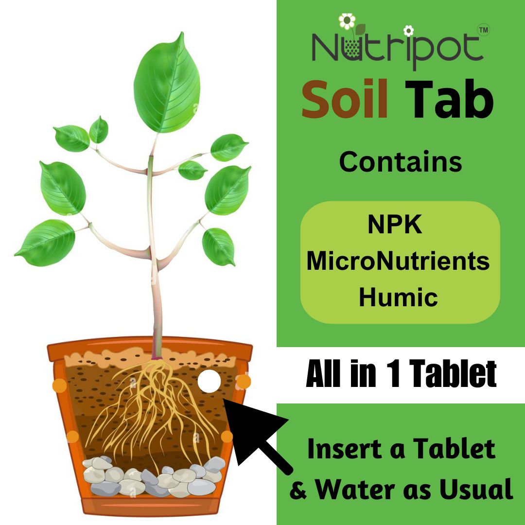 Nutripot Soil Tab : Strip of 10 Tablet X 2gm : Soil Insert Tablet with complete Plant nutrients & soil conditioners