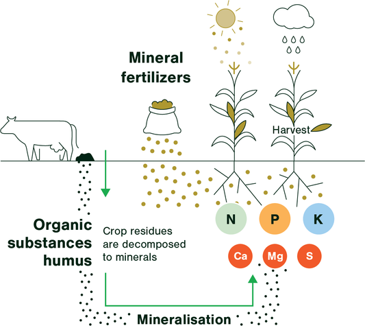 Different type of Fertilizers