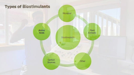 Types of Biostimulants