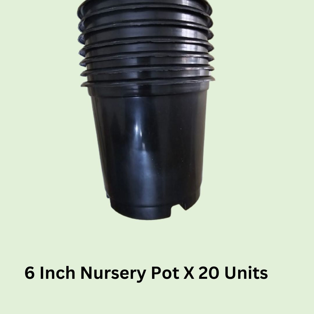 Six Inch / 6 Inch Nursery Flowerpot Black