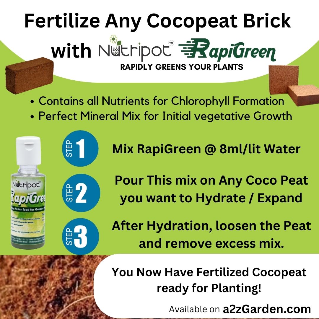 Nutripot RapiGreen