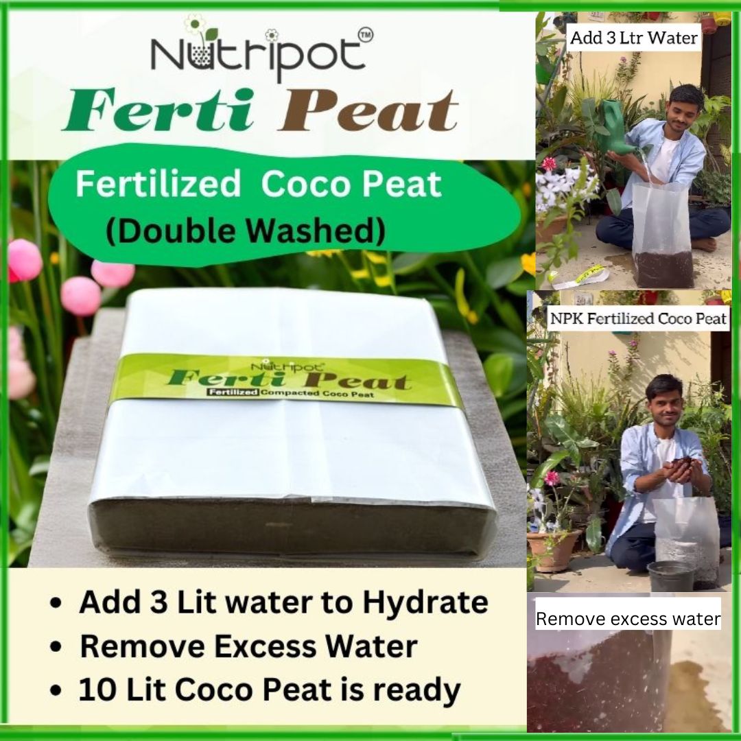 1 Ferti Peat (Fertilized Coco peat) and 1 Seedling Tray