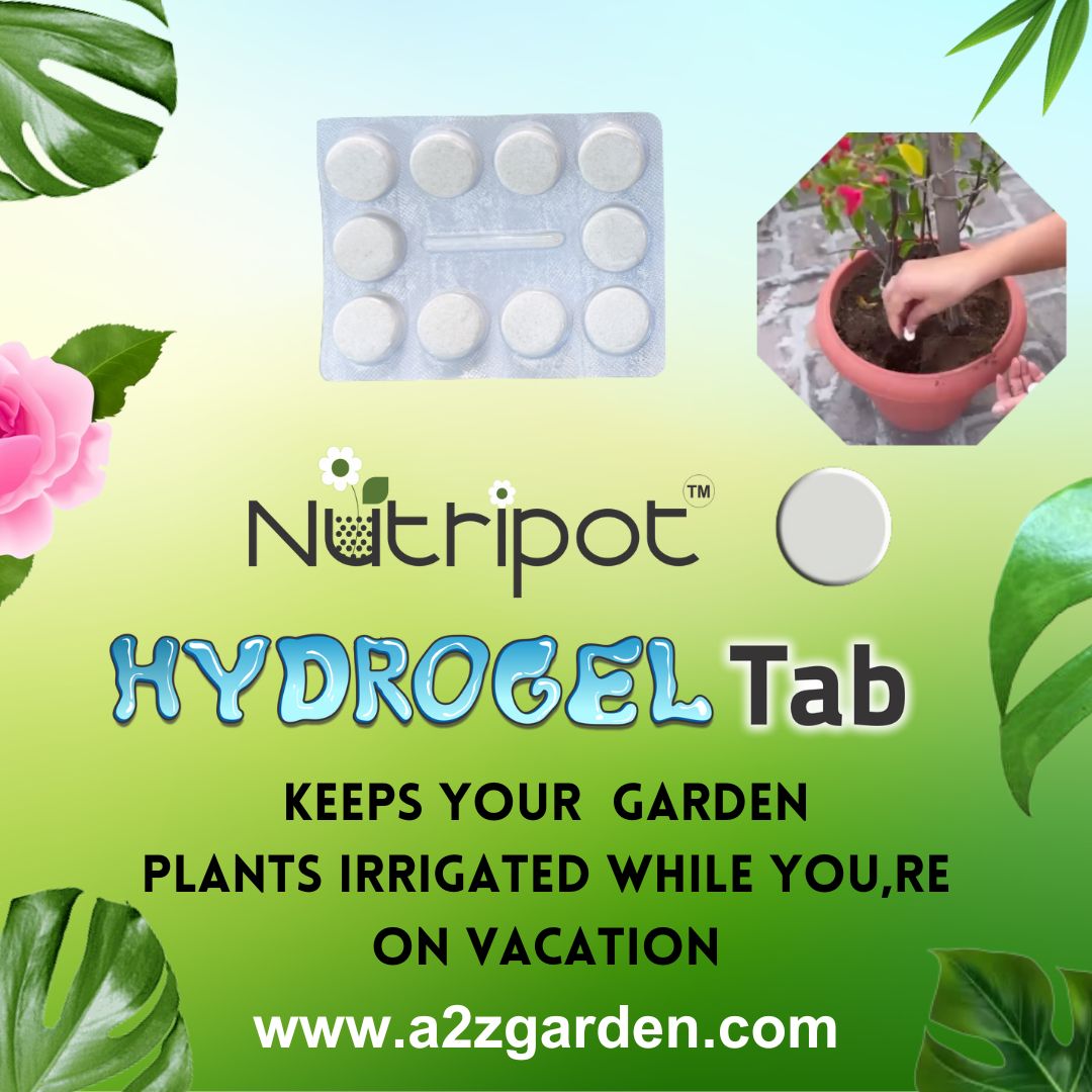 Nutripot Hydrogel Tab strip 10 tablets (COD is not Available)