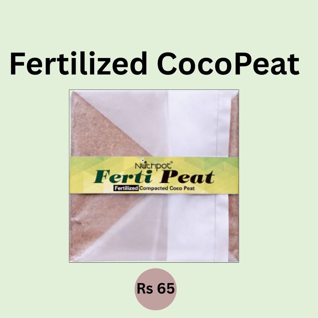 2 Units: Nutripot Fertilized Coco Peat 625GmX2 (Fertipeat): CocoPeat Brick with Fertilizer mixed in it
