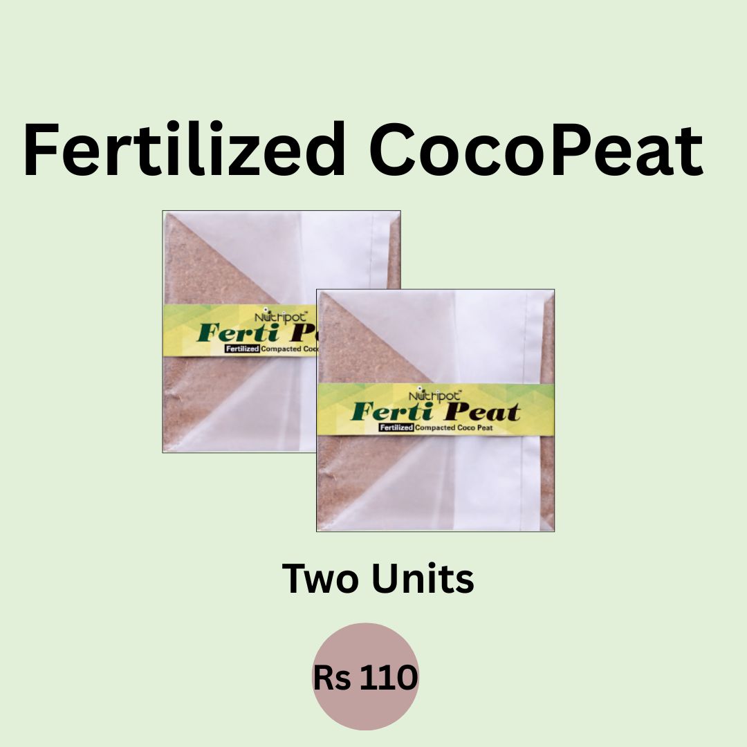 2 Units: Nutripot Fertilized Coco Peat 625GmX2 (Fertipeat): CocoPeat Brick with Fertilizer mixed in it