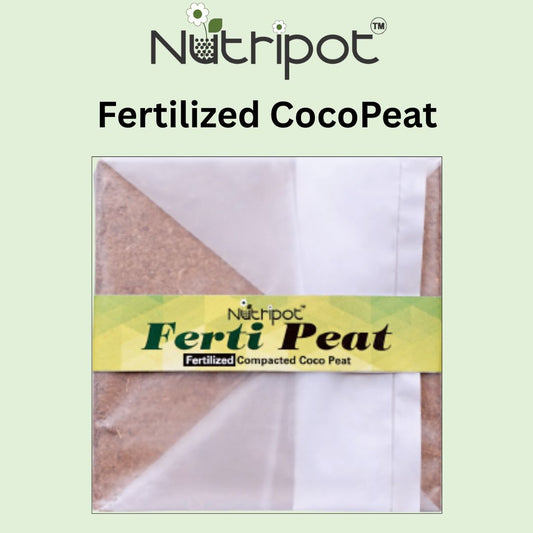 2 Units: Nutripot Fertilized Coco Peat 625GmX2 (Fertipeat): CocoPeat Brick with Fertilizer mixed in it