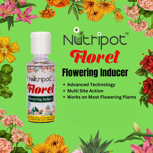 Nutripot Floret