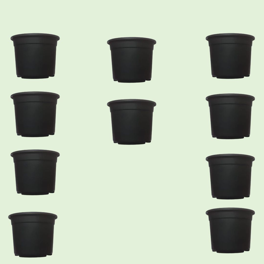 3 Inch Black Table top nursery Flowerpot