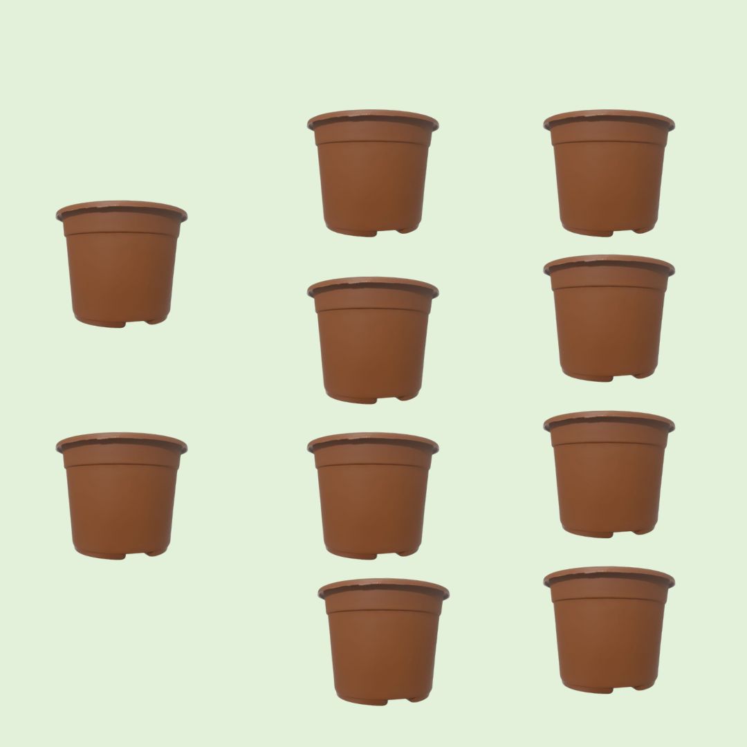 3 inch Terracotta color Tabletop nursery flowerpot X10 pieces