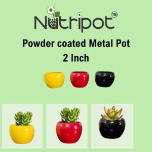 nutripot powder coated metal pots 2 inch