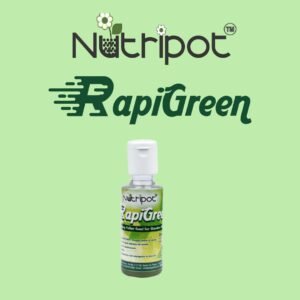 nutripot rapigreen 50ml