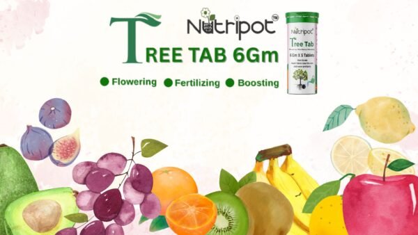 nutripot tree tab 6 gm x 5