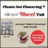 1 strip nutripot floret tab (2gmx10) + 1 strip nutripot soil tab (2gmx10)