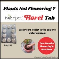 1 strip nutripot floret tab (2gmx10) + 1 strip nutripot soil tab (2gmx10)