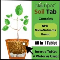 1 strip nutripot floret tab (2gmx10) + 1 strip nutripot soil tab (2gmx10)